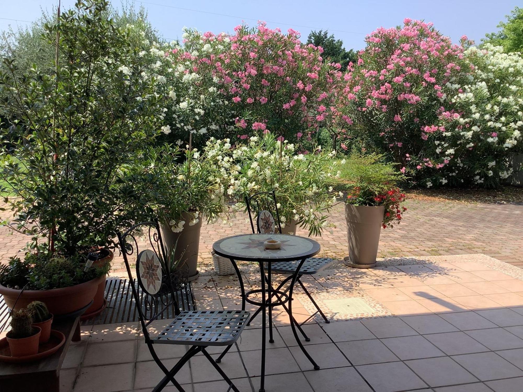 Edyshome Hébergement de vacances