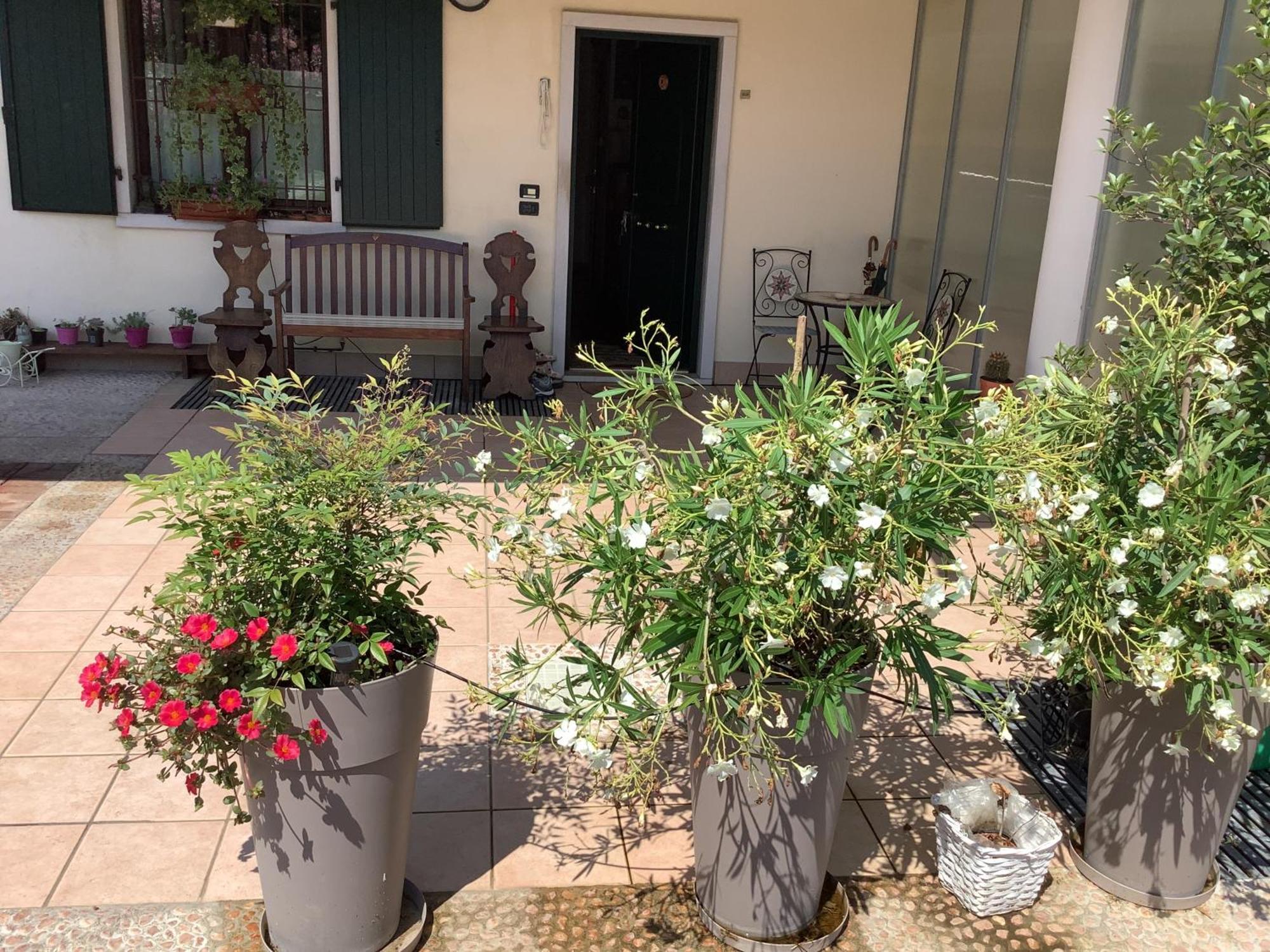 Edyshome Holiday home